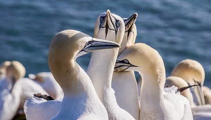 浙江男篮发布休赛期训练日常视频：训练日常+1