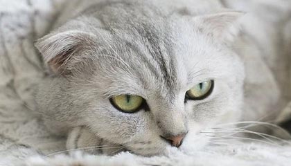 浙江男篮发布休赛期训练日常视频：训练日常+1