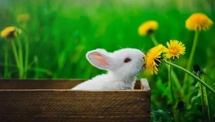 浙江男篮发布休赛期训练日常视频：训练日常+1